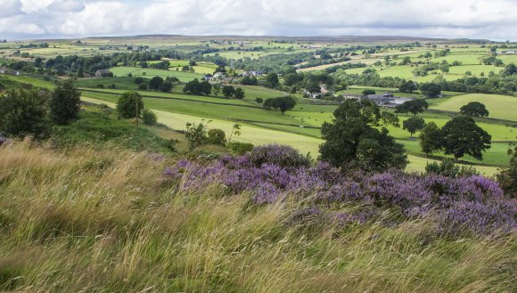 Baildon Moor