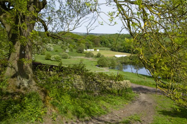 Tong Park Dam